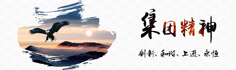 集团文化(图1)