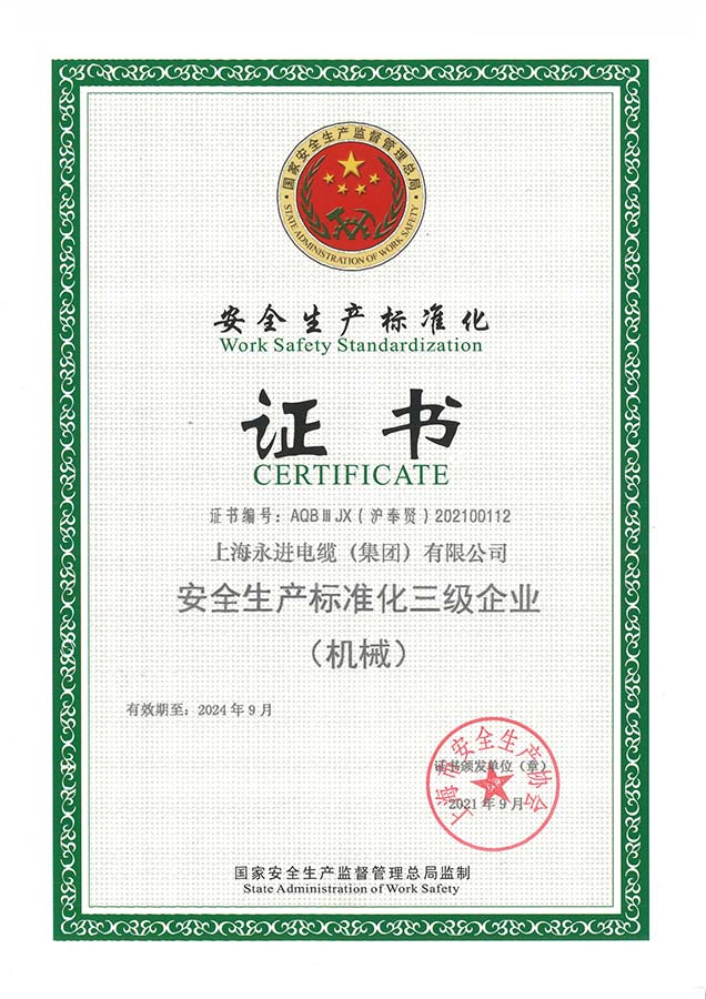 安全生产标准化证书(图1)