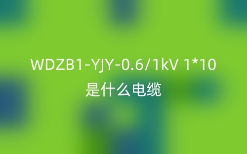 WDZB1-YJY-0.6/1kV 1*10是什么电缆？(图1)