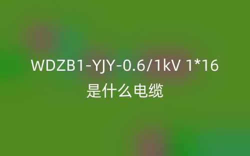 WDZB1-YJY-0.6/1kV 1*16是什么电缆？(图1)