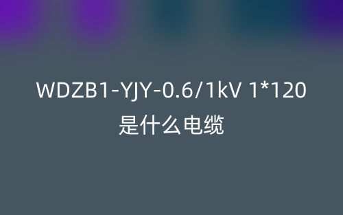 WDZB1-YJY-0.6/1kV 1*120是什么电缆？(图1)