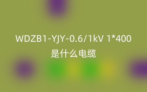 WDZB1-YJY-0.6/1kV 1*400是什么电缆？(图1)