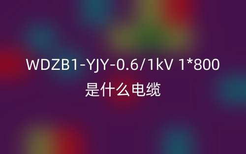 WDZB1-YJY-0.6/1kV 1*800是什么电缆？(图1)