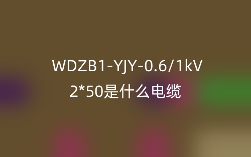 WDZB1-YJY-0.6/1kV 2*50(图1)