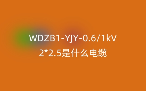 WDZB1-YJY-0.6/1kV 2*2.5是什么电缆？(图1)