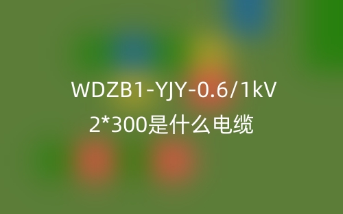 WDZB1-YJY-0.6/1kV 2*300是什么电缆？(图1)