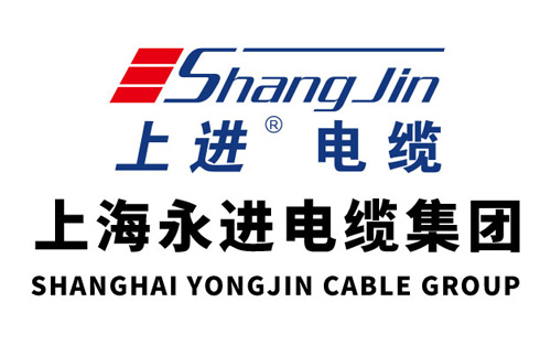 集团简介(图1)