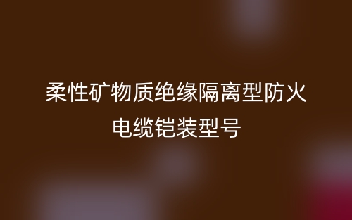 柔性矿物质绝缘隔离型防火电缆铠装型号(图1)