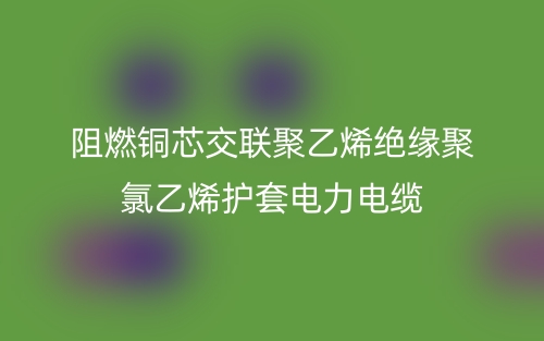 阻燃铜芯交联聚乙烯绝缘聚氯乙烯护套电力电缆(图1)