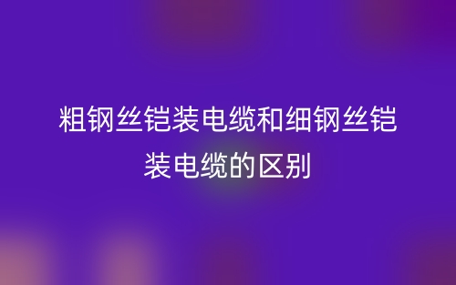 粗钢丝铠装电缆和细钢丝铠装电缆的区别是什么？(图1)