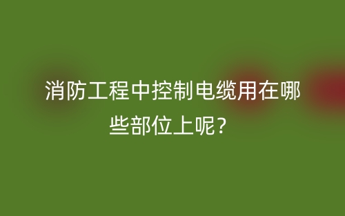 普通电缆和消防电缆必须分开敷设吗?为什么?(图1)