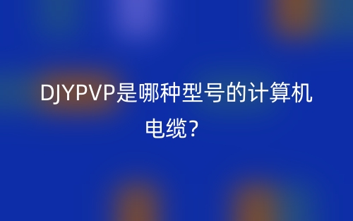 DJYPVP是哪种型号的计算机电缆？(图1)